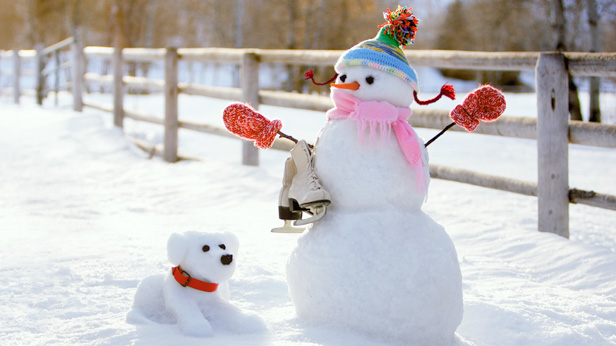 How to build a snowman and snowdog