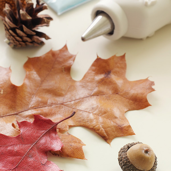 DIY Fall Decorations