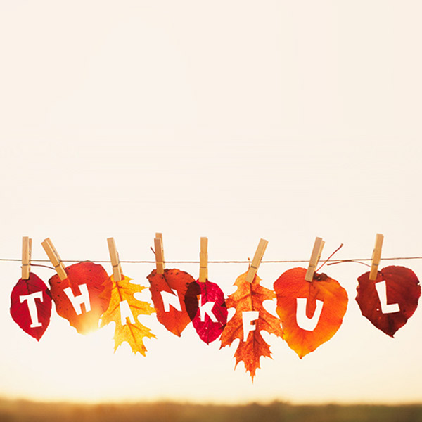 Thanksgiving Blessings | Hallmark