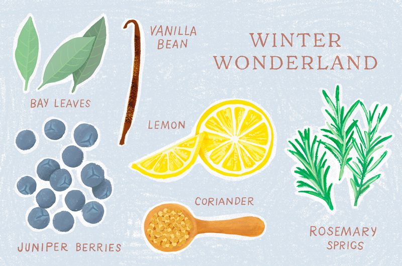 An illustration of the ingredients included in our