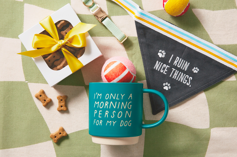 A pet-themed mug bundle that includes a teal blue mug that reads,